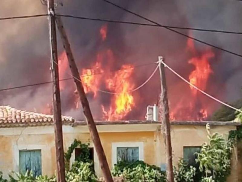 Φωτιές: Εφιαλτική νύχτα σε Ηλεία, Έβρο και Μυτιλήνη - Μάχη για να σωθούν τα χωριά
