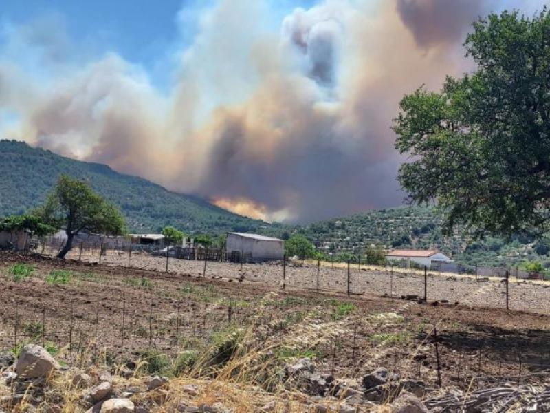 Μεγάλη φωτιά στη Λέσβο: Εκκενώνεται ο οικισμός Βατερά- Καίγονται σπίτια