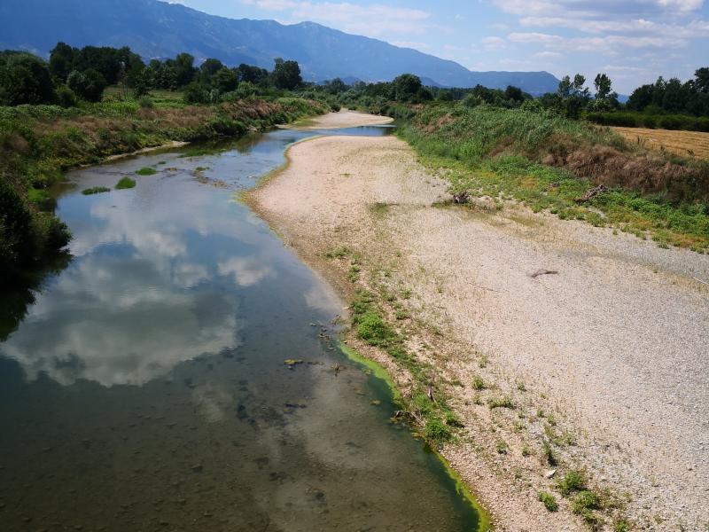 «Θύμα» της υδατικής κρίσης και ο Πηνειός - Στα όριά του ο ποταμός