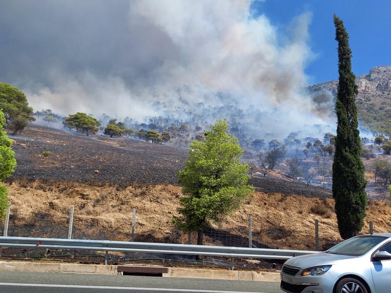 Φωτιά στη Νέα Πέραμο- Καίγεται δασική έκταση κοντά στα διόδια της Ελευσίνας προς Κόρινθο