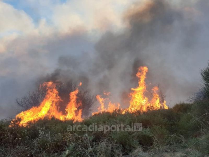 Πυρκαγιά στη Σαμοθράκη: «Καίει και δεν σταματάει»-Στο σημείο υπήρχαν πολλοί κατασκηνωτές 