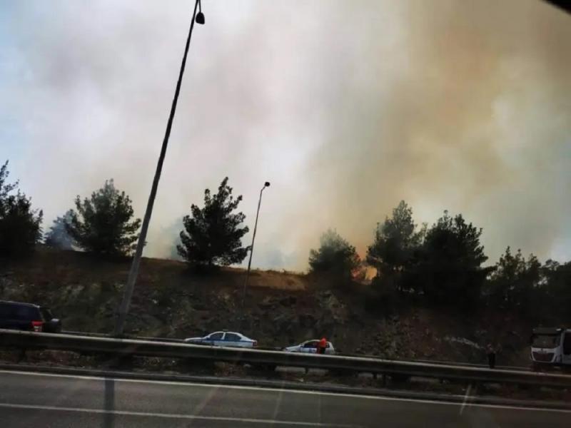 Θεσσαλονίκη: Υπό έλεγχο η φωτιά στο δάσος του Σέιχ Σου