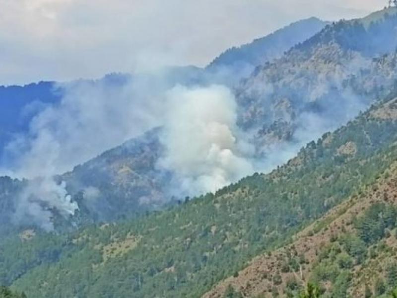 Έσβησε η φωτιά που έκαιγε για 16 μέρες στον εθνικό δρυμό της Βάλια Κάλντα