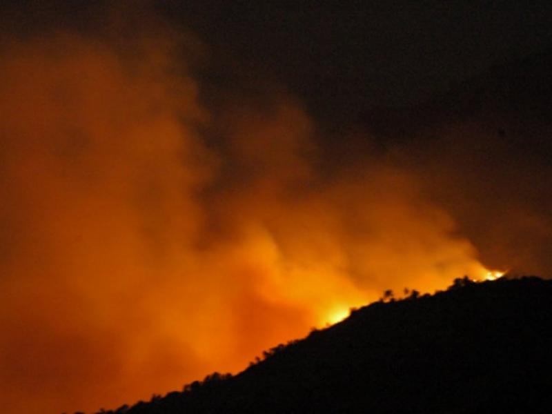 Μεγάλη φωτιά στην Κεφαλονιά – Απειλείται οικισμός (Pic/Vid)