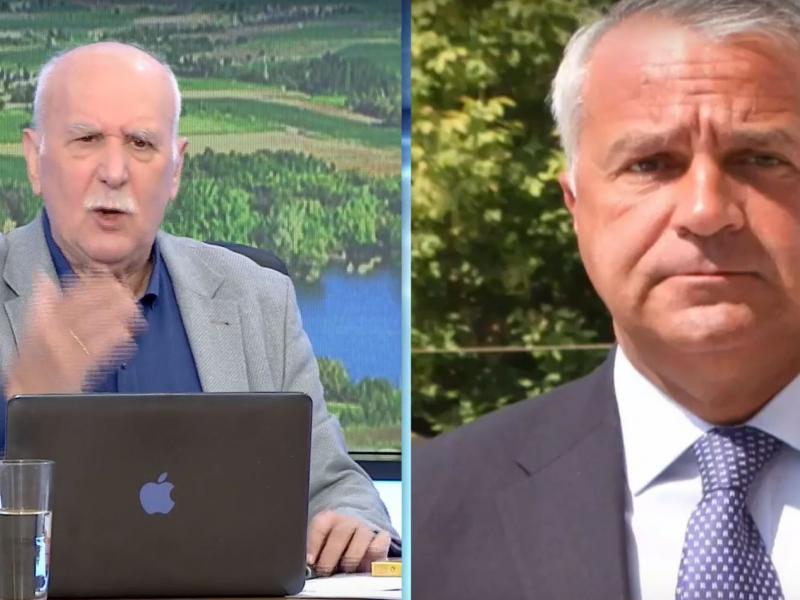 βορίδης