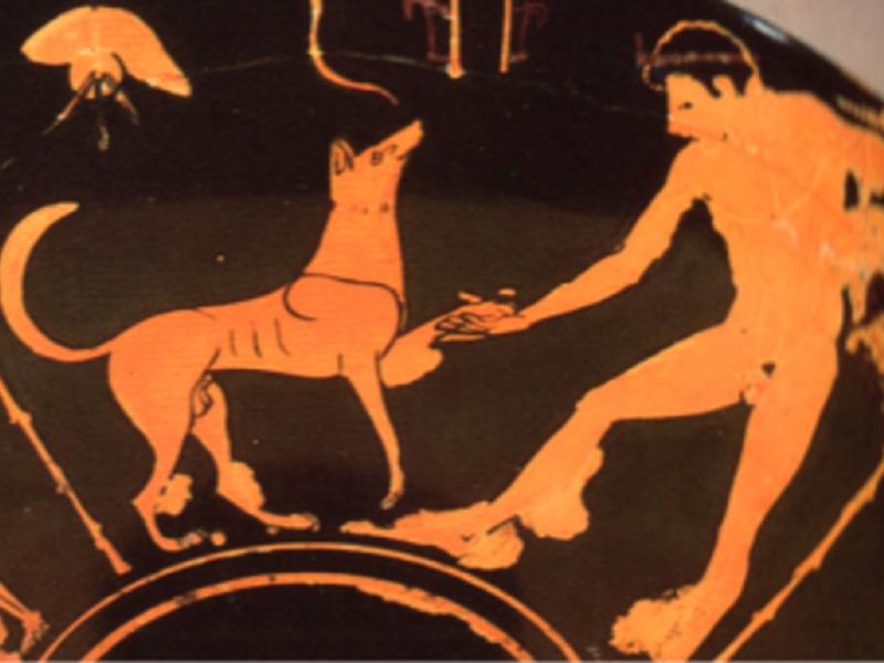 Σκύλος στην Αρχαία Ελλάδα