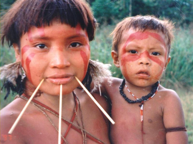 Βιασμοί και παράβαση δικαιωμάτων ιθαγενών στην Αμαζονία