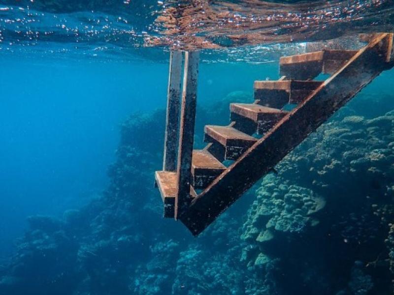 diving