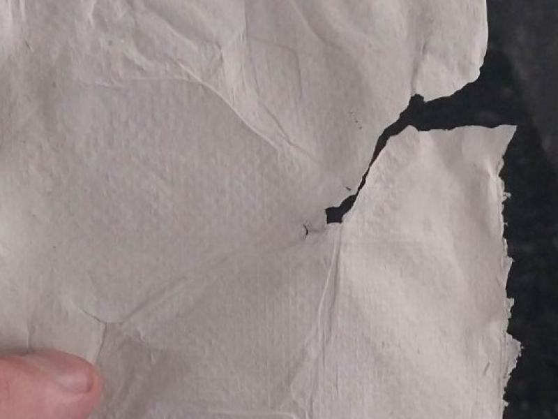 Χαρτί από βακτήρια δημιούργησαν Έλληνες επιστήμονες