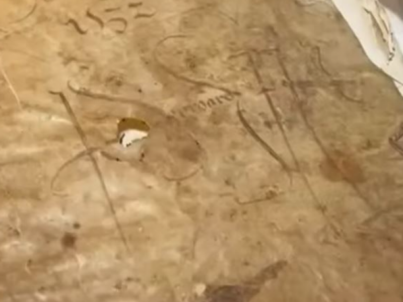 Μυστήριο στο Καζακστάν - Βρέθηκε χειρόγραφο καλυμμένο με ανθρώπινο δέρμα