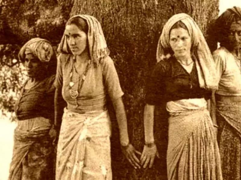 Μια αδιανόητη τραγωδία: Όταν σφαγιάστηκαν 363 άνθρωποι προσπαθώντας να σώσουν το δάσος τους