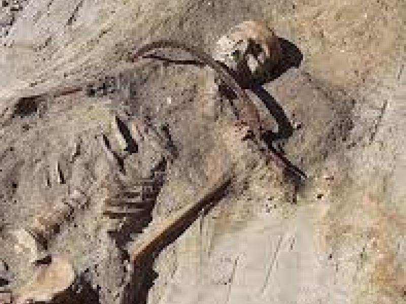 Ανακάλυψαν τάφο με 450 σκελετούς, οι οποίοι είχαν ταφεί ως βρυκόλακες