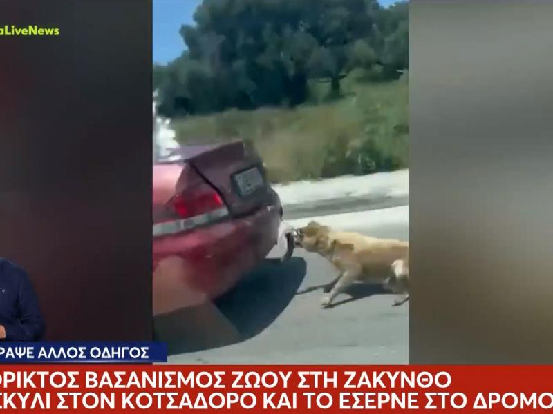 Απίστευτη κτηνωδία: Έδεσε σκυλάκι στον κοτσαδόρο αυτοκινήτου και το έσερνε