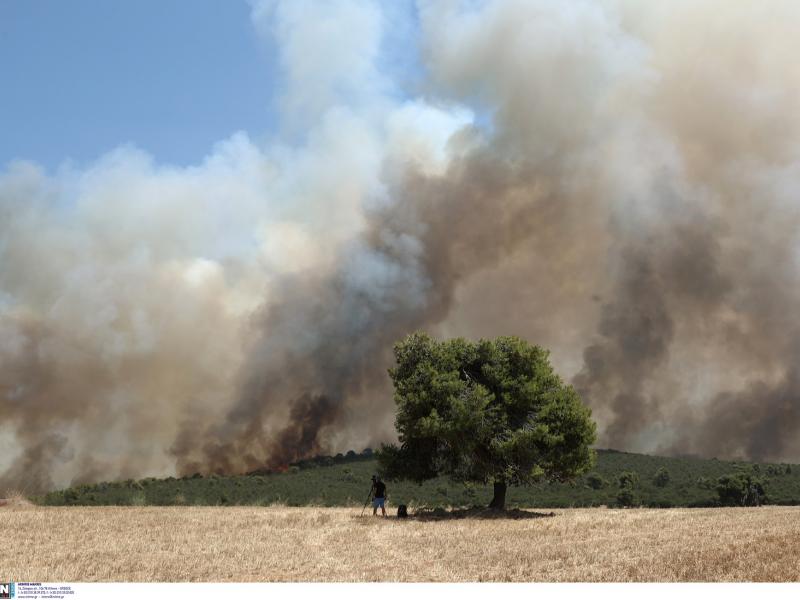 Πυρκαγιά στα Δερβενοχώρια