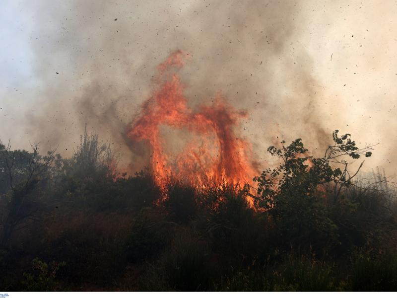 Πυρκαγιές: Αναζωπυρώσεις σε Μάνδρα και Μέγαρα – Εκκενώνονται 4 οικισμοί