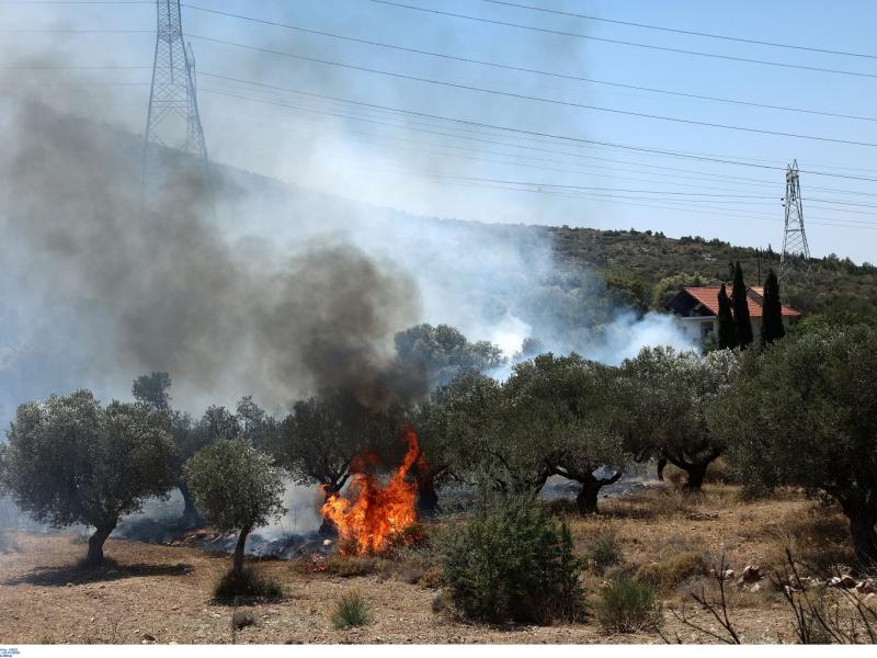 Πυρκαγιά στον Νέο Κουβαρά