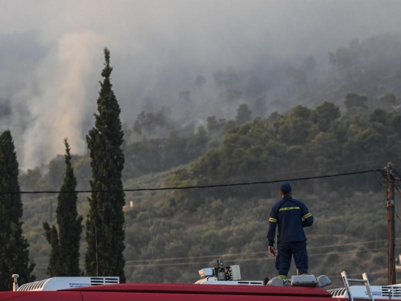 Φωτιά στην Κάρυστο