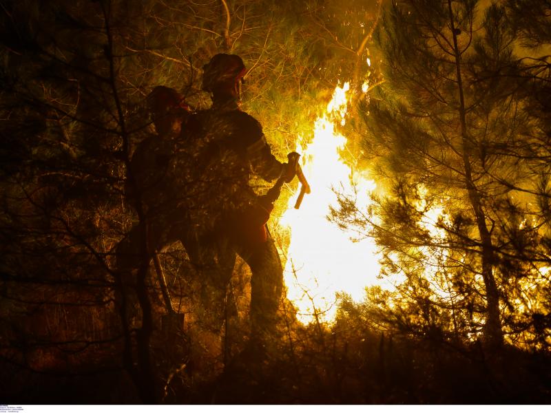 Φωτιά στον Μαραθώνα: Ολονύχτια μάχη με τις φλόγες