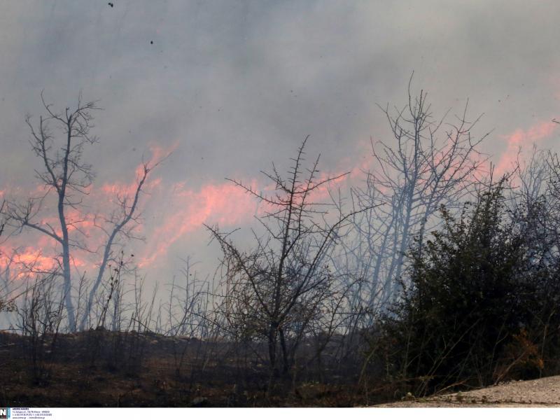 Κριτική και προτάσεις στα μνημόνια σεισμών, πυρκαγιών, ακραίων φαινομένων, κλπ