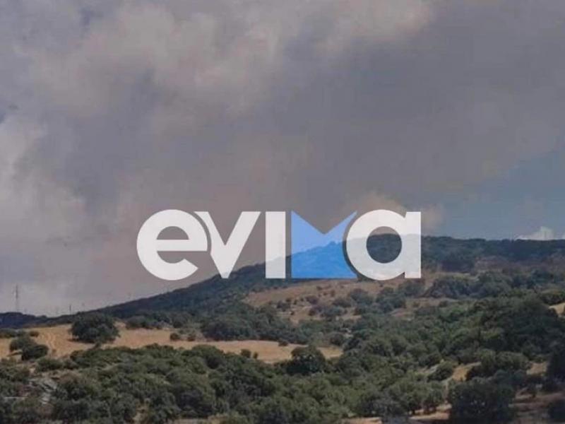 Φωτιά στην Κάρυστο