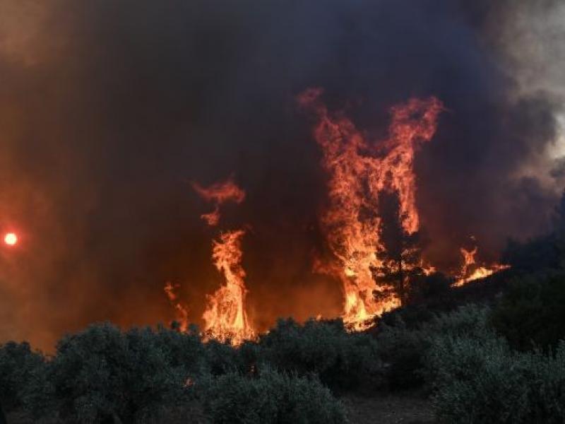 Μεγάλη φωτιά στη Πετρούπολη – Συναγερμός στην Πυροσβεστική