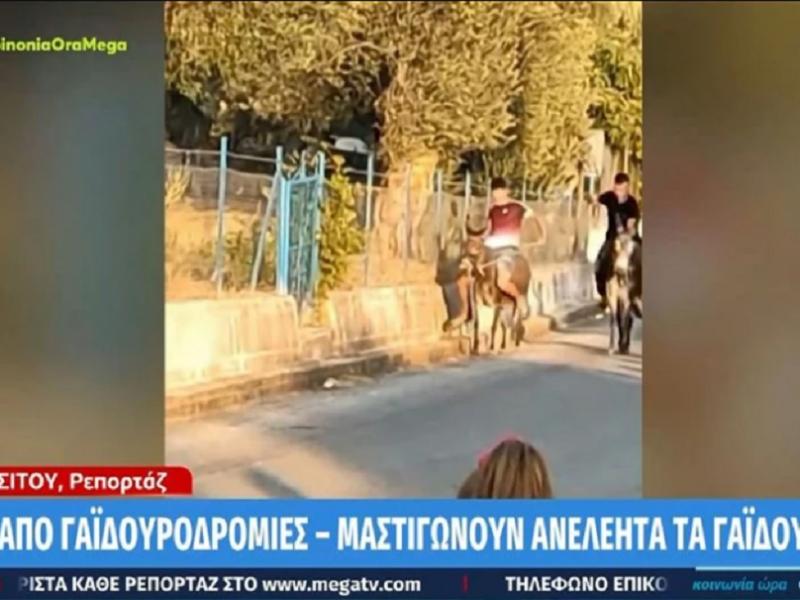 Ανήλικοι μαστιγώνουν γαϊδουράκια