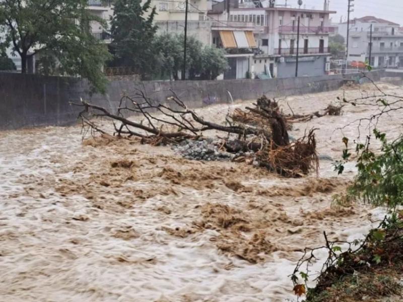 karditsa