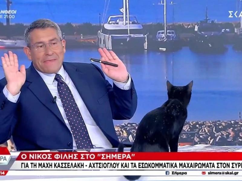 Μαύρη γάτα με Παυλόπουλο