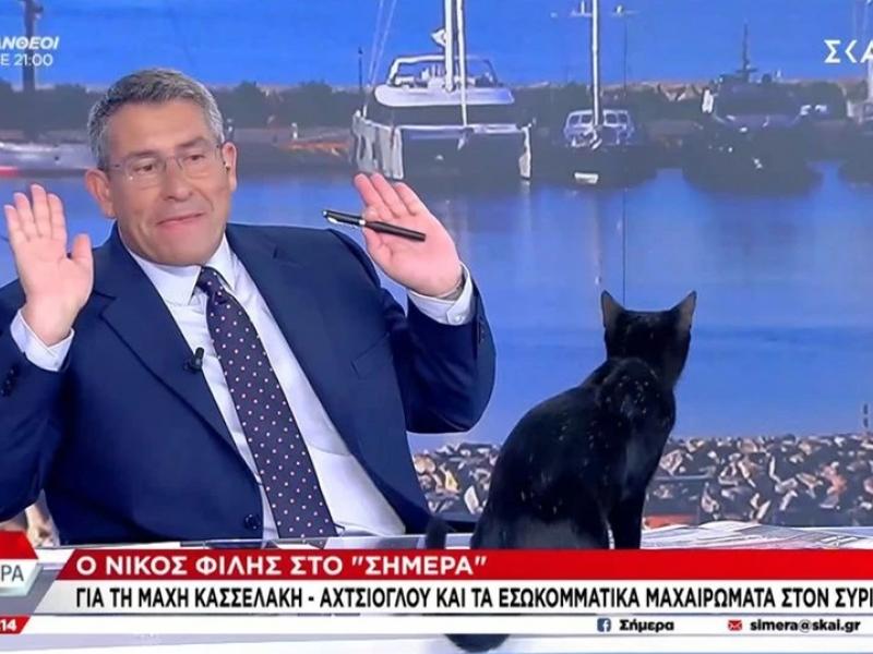 Μαύρη γάτα «εισέβαλε» στο πλατό του ΣΚΑΪ την ώρα που μιλούσε ο Νίκος Φίλης
