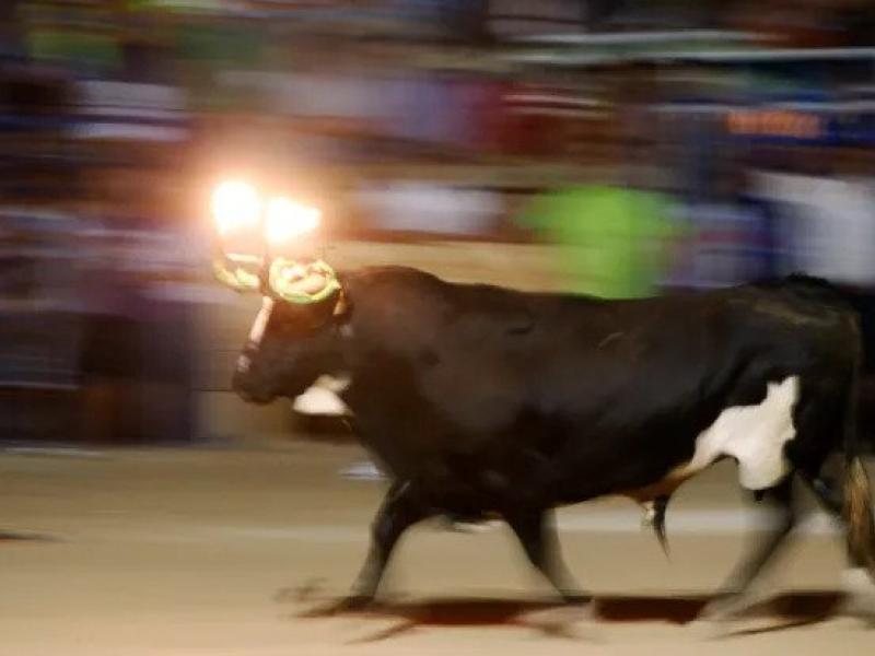 Ταύρος με φωτιές στα κέρατα χτυπάει νεαρό που είχε απορροφηθεί στο κινητό του (Βίντεο)