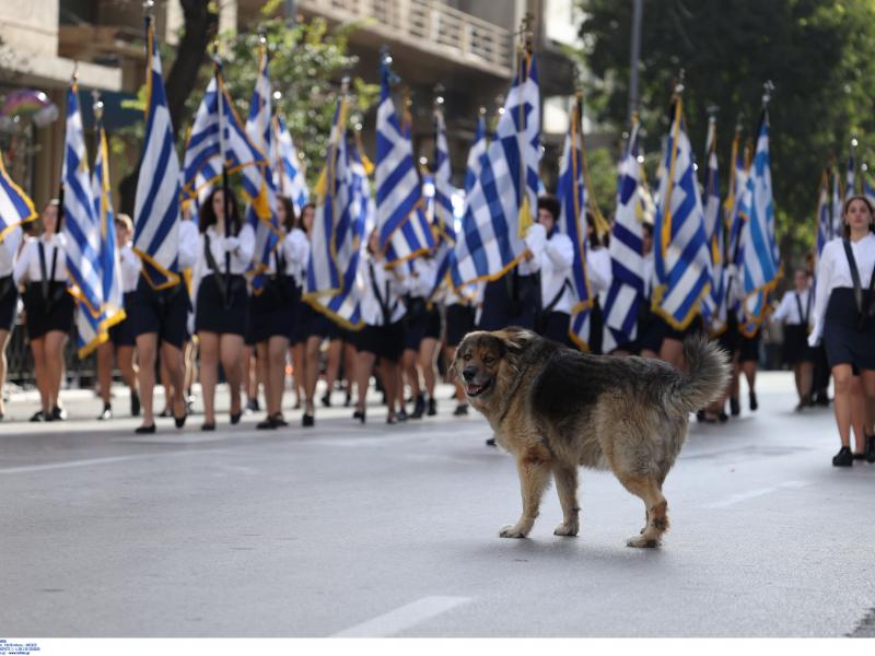 Θεσσαλονίκη: Ο 11χρονος μαθητής με τα προβλήματα όρασης που έγινε σημαιοφόρος