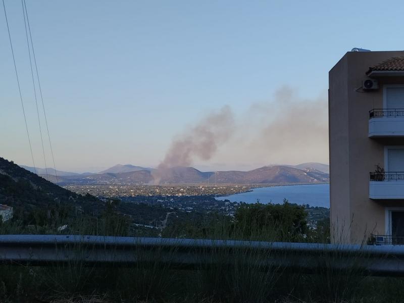 Φωτιά τώρα στον Σχοινιά: Κοντά στο κωπηλατοδρόμιο οι φλόγες 