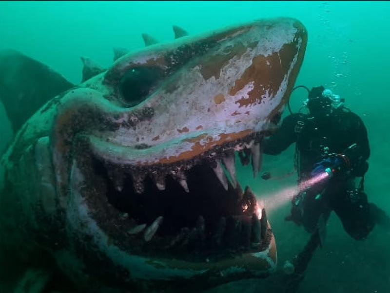 Ένας τρομακτικός καρχαρίας στον βυθό μιας λίμνης – Η πιο επική φάρσα