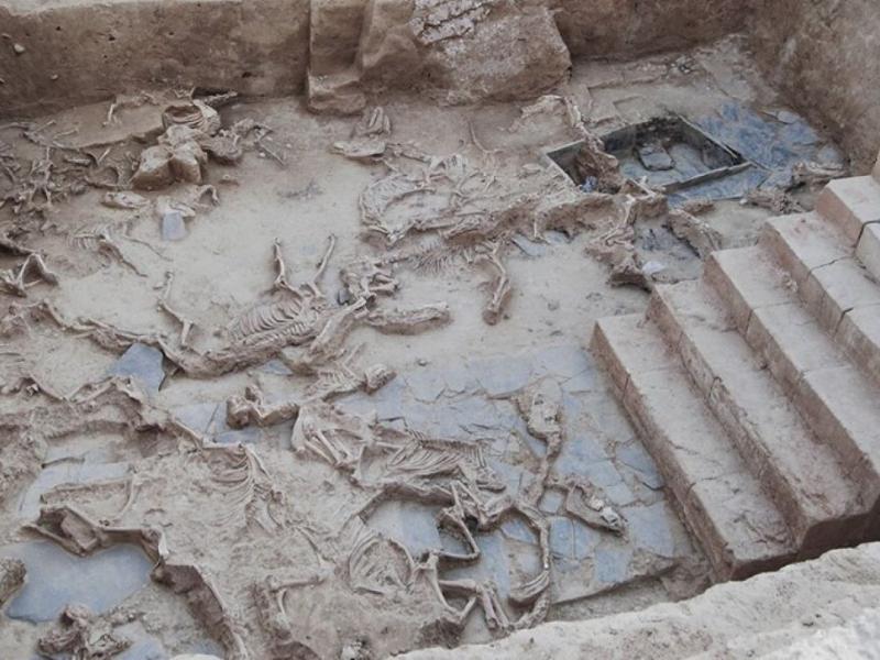 Μυστήριο: Ανακαλύφθηκε χώρος θυσίας με πάνω από 6.000 οστά ζώων - Τα νέα στοιχεία