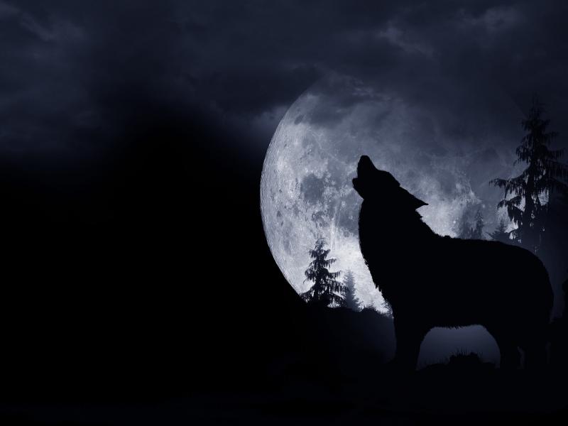 Φεγγάρι του Λύκου: Σήμερα είναι η πανσέληνος – Η ιστορία του ονόματος
