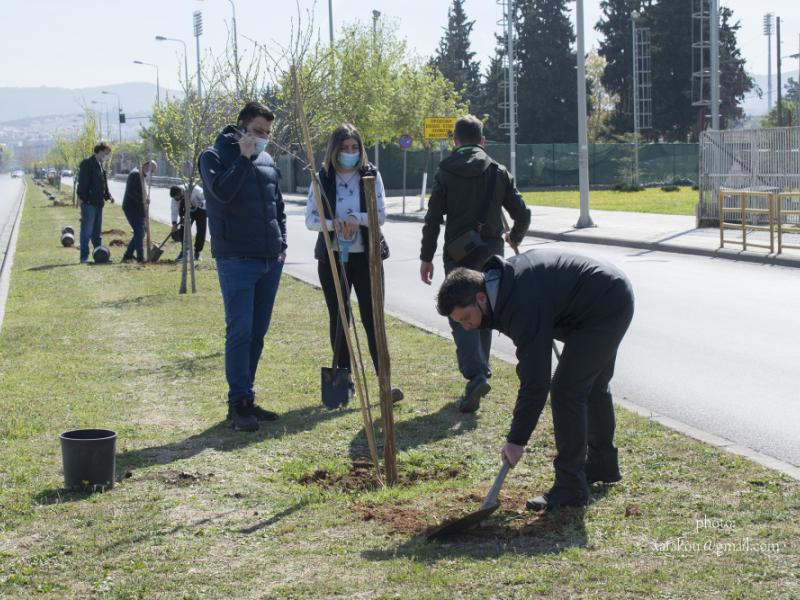 εκπα δενδροφυτευσεις