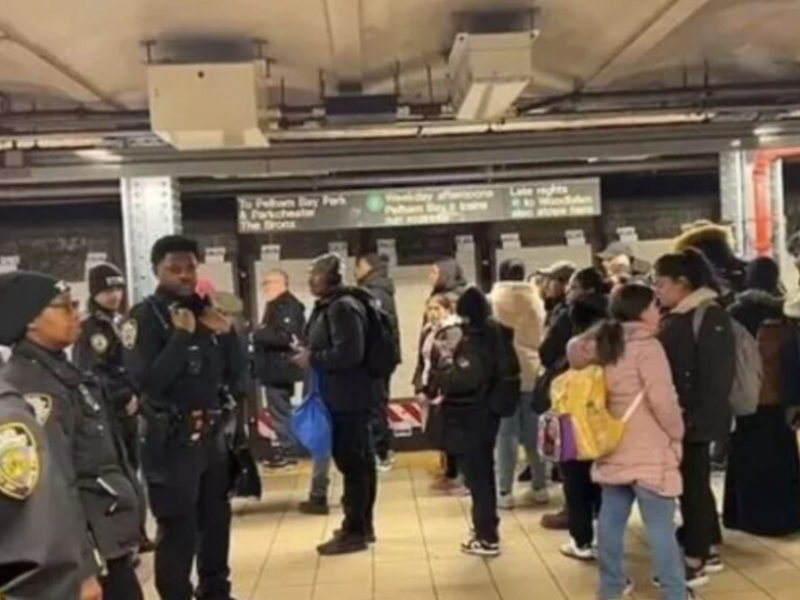 Νέα Υόρκη: Τον έσπρωξε στις ράγες την ώρα που περνούσε το μετρό και τον σκότωσε