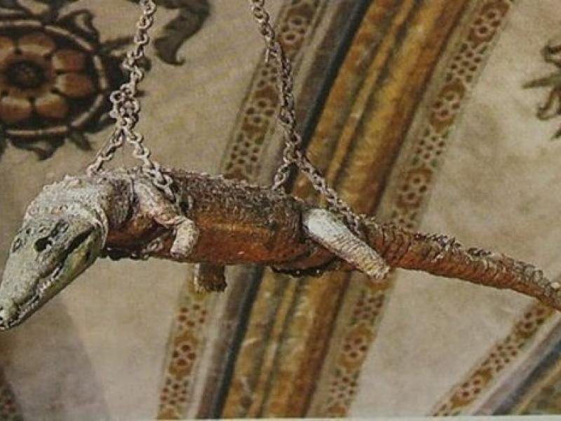 Κροκόδειλος κρέμεται από οροφή εκκλησίας