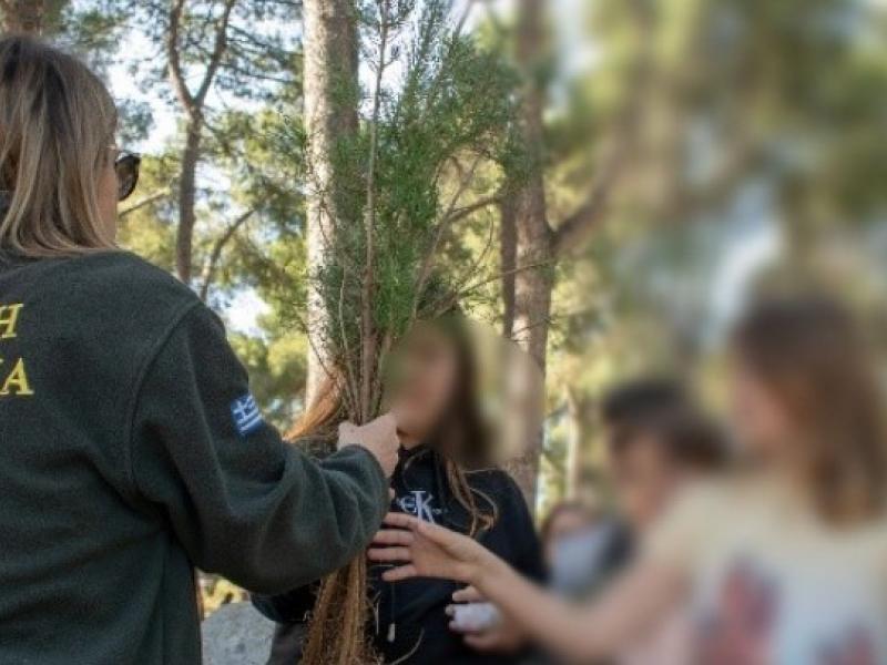 ΑΠΘ: Μαθητές και μαθήτριες φύτεψαν 150 δέντρα στην κατασκήνωση στο Ποσείδι