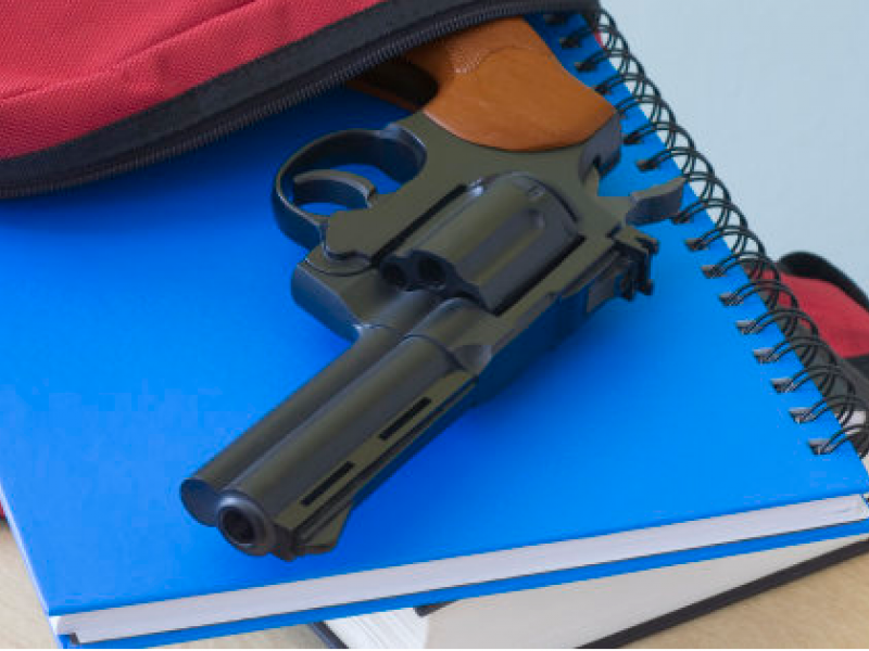 Ασύλληπτο! Οι εκπαιδευτικοί μπορούν να φέρουν οπλισμό στο σχολείο, σύμφωνα με νόμο που ψήφισε η Βουλή