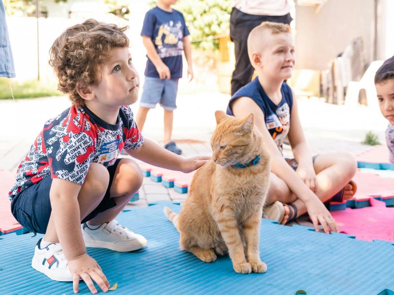 ΙΕΠ: Σχετικά με την Πανελλήνια Σχολική Ημέρα Φιλοζωίας