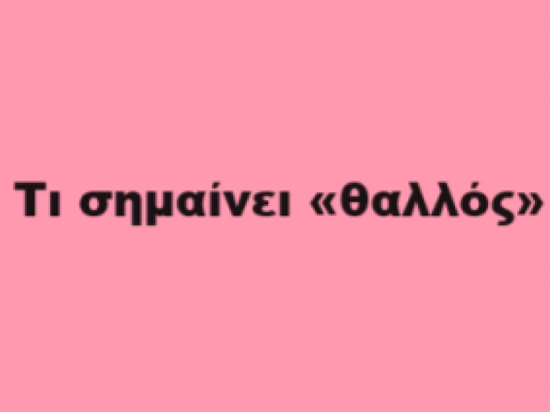 leksi