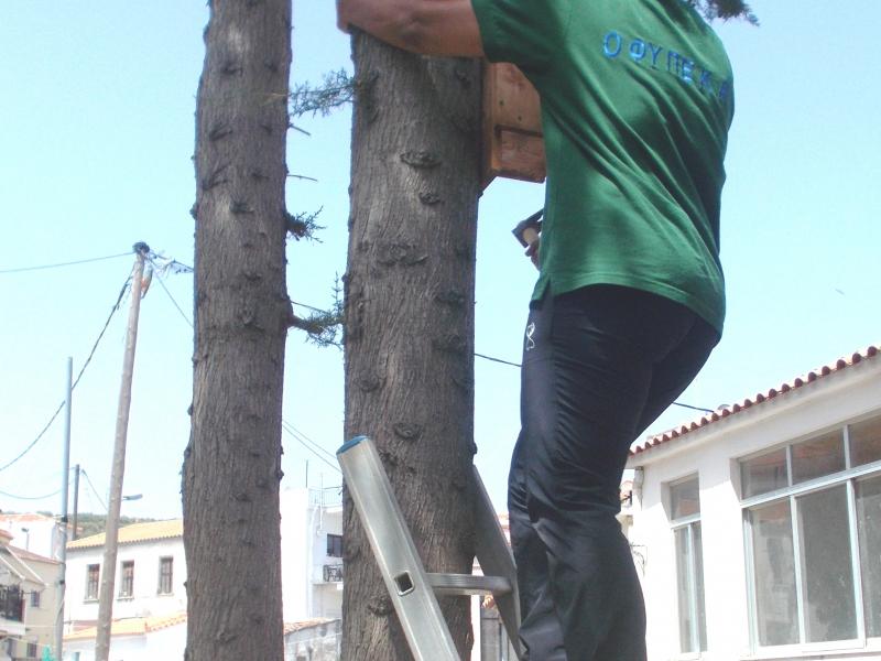 δημοτικο