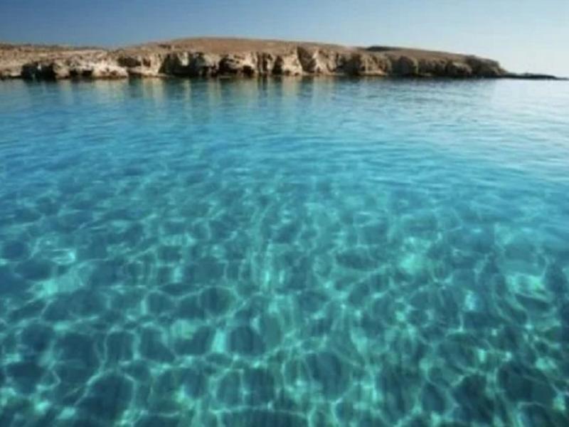 Ρήνεια