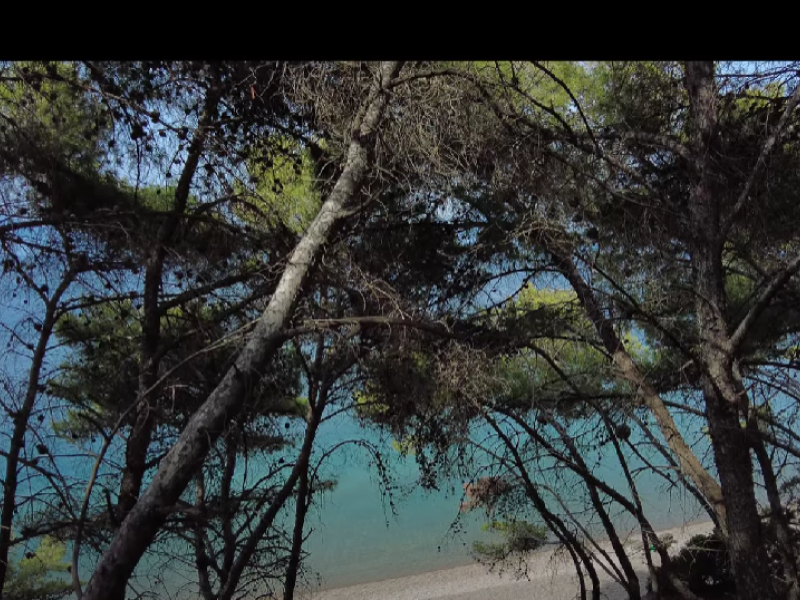 paralia