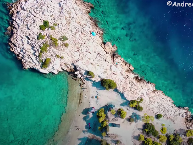 paralia
