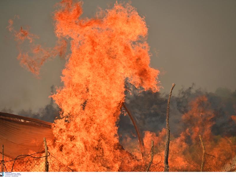 Νέα Μάκρη: Ξεσπάει η θεία του 16χρονου συλληφθέντα για εμπρησμό – «Το κατέστρεψαν το παιδάκι»