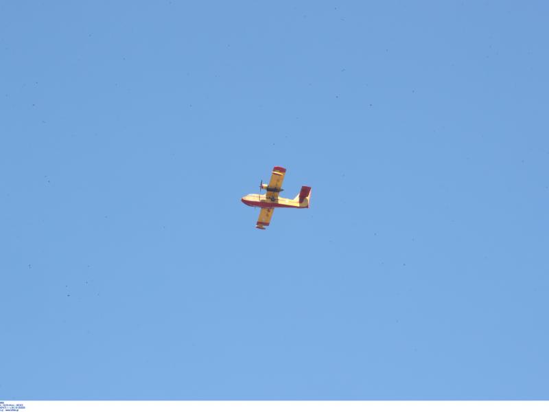 fotia attiki15