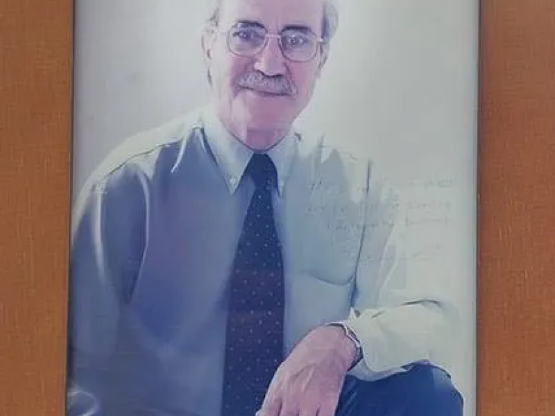 καθηγητης
