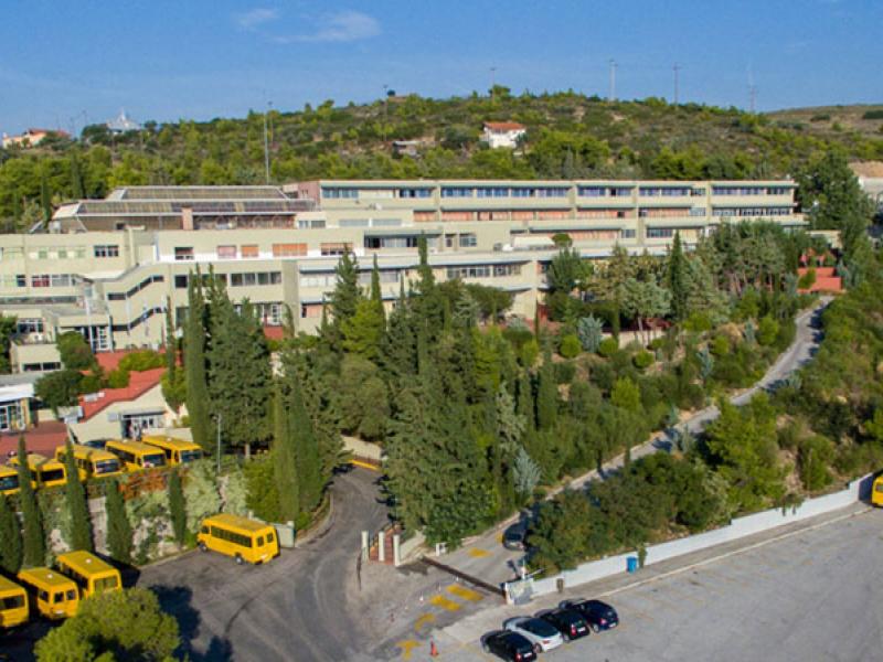 kosteas_geitonas